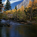 Rock Creek Canyon Gold by Paul Breitkreuz