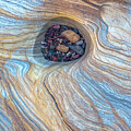 Rock Pool by Anita Nicholson