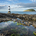 Rockpool Penmon Lighthouse by Spikey Mouse Photography
