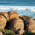 Rocks at Lights Beach, Denmark, Western Australia Photograph by Elaine Teague Rocks at Lights Beach, Denmark, Western Australia Photograph by Elaine Teague