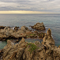 Rocks In The Sea Of Lloret De Mar by Vicen Photography Rocks In The Sea Of Lloret De Mar by Vicen Photography