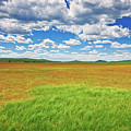 Rogers Lake Photograph by Jeff Goulden Rogers Lake Photograph by Jeff Goulden