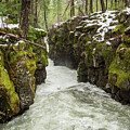 Rogue River Gorge by Diane Moller