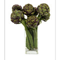 Roman Artichokes by Alessandro Pezzo
