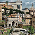 Roman Forum by Terry Rowe