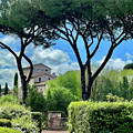 Roman View by Terry Rowe