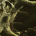 Root surface Digital Art by Kate Solbakk Root surface Digital Art by Kate Solbakk