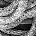 Roped Photograph by Jim Whitley Roped Photograph by Jim Whitley