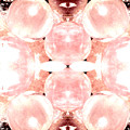 Rose Quartz Eyes Photograph by Stephenie Zagorski Rose Quartz Eyes Photograph by Stephenie Zagorski