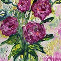 Roses by Chiara Magni