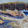Rouge River Near Brebeuf by David Gilmore