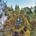 Roundabout Planet Cumbria 3 by David Hargreaves