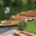 Row Boats in Bath Photograph by Roxy Rich Row Boats in Bath Photograph by Roxy Rich