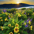 Rowena Sunrise Photograph by Patrick Campbell Rowena Sunrise Photograph by Patrick Campbell