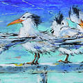 Lounging Royal Terns Painting by Jyotika Shroff Lounging Royal Terns Painting by Jyotika Shroff