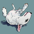 Rub My Belly by Jindra Noewi