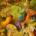 Rubino Rise Under Water Actiniae Painting by Tony Rubino Rubino Rise Under Water Actiniae Painting by Tony Rubino