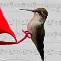 Ruby-throated Hummingbird by Robin Wiesneth