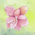 Ruffled Hibiscus #2 Painting by Anne Katzeff Ruffled Hibiscus #2 Painting by Anne Katzeff