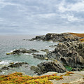 Rugged Green Point Landscape Tall by Allan Van Gasbeck