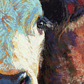 Rummy Pastel by Rita Kirkman Rummy Pastel by Rita Kirkman