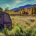 Rural shed Photograph by Bradley Morris Rural shed Photograph by Bradley Morris