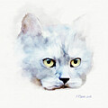 Russian Blue Cat by Bamalam Art