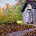 Rustic barn on a serene landscape by Dave Sandt