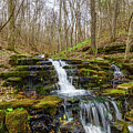 Rustic Falls In The Woods by Jennifer White