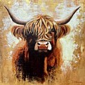 Rustic Highland Cow by Caroline Swan