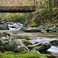 Rustic Wooden Bridge Photograph by Phil Perkins Rustic Wooden Bridge Photograph by Phil Perkins