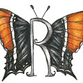 Rusty-Tipped Page Butterfly by Kristin Aquariann