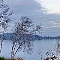 Sad Autumn Evening by Lyuba Filatova Sad Autumn Evening by Lyuba Filatova