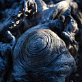 Saguaro Vortex by Kati Astraeir Saguaro Vortex by Kati Astraeir