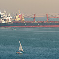 Sail Powered Fishing Boat Passing a Moored Bulk Carrier in Great Bitter Lake Photograph by William Dickman