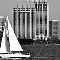 San Diego Sailing Digital Art by Kirt Tisdale San Diego Sailing Digital Art by Kirt Tisdale