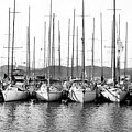 Saint-Tropez,France,marina,black and white yachts, by Severija Kirilovaite
