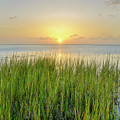 Salt Grass Sunset Photograph by Christopher Rice Salt Grass Sunset Photograph by Christopher Rice