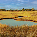 Salt Marsh Photograph Photograph by Louis Dallara Salt Marsh Photograph Photograph by Louis Dallara