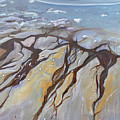 Saltwater Veins II by Jodee Clifford Saltwater Veins II by Jodee Clifford