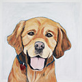 Sammy Painting by Pamela Schwartz Sammy Painting by Pamela Schwartz