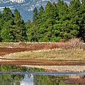 San Francisco Peaks Reflected in a Pond Center Panel by Jeff Goulden