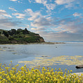 San Gregorio Lagoon Photograph by David Levin