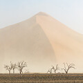 Sand dune and sandstorm, Sossusvlei, Namibia by Delphimages Photo Creations