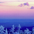 Sandia Crest View Albuquerque New Mexico Photograph by Tommy Farnsworth