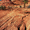 Sandstone Formations Paria Canyon Utah by Dave Welling