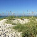 Sandy Dunes by Leslie Brashear