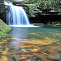 Satinske Waterfalls in Beskydy at autumn vibes Photograph by Vaclav Sonnek Satinske Waterfalls in Beskydy at autumn vibes Photograph by Vaclav Sonnek