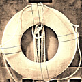 Saved by Onedayoneimage Photography