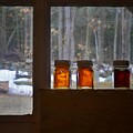 Sawyers Maple Farm- New Hampshire  by Joann Vitali